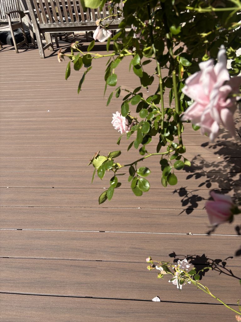 Warm earth tone composite decking with roses and garden planting beside a traditional Buckinghamshire home