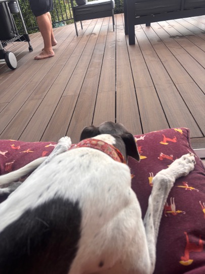 real decking by real people by deckorators