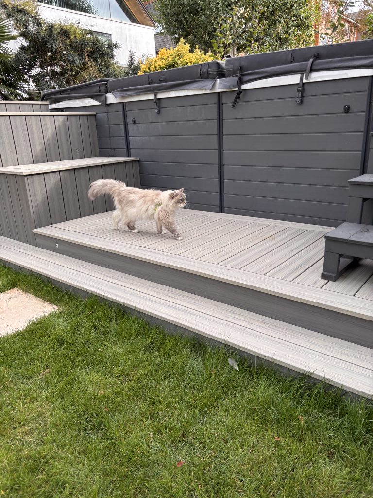cat checking a new composite decking in ealing